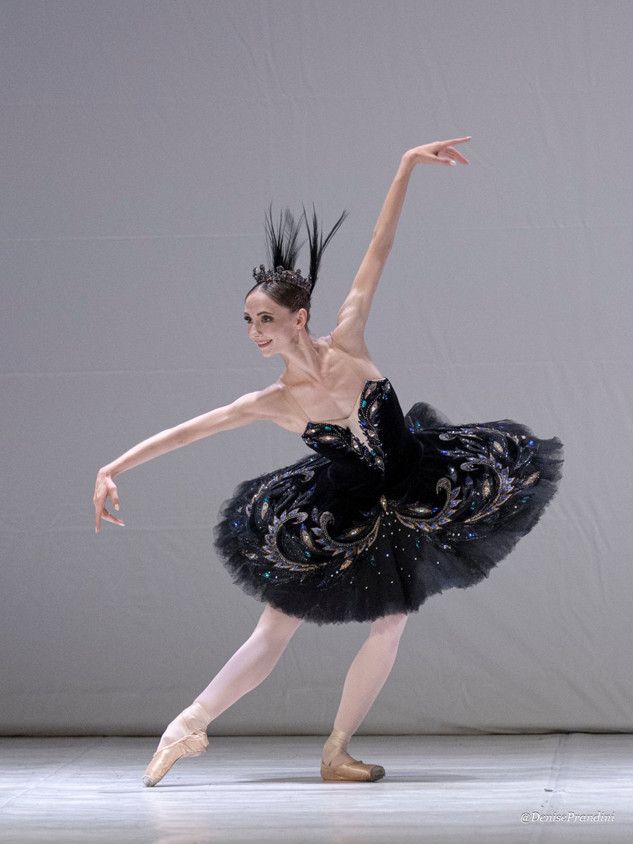 International Dance Gala in 2026