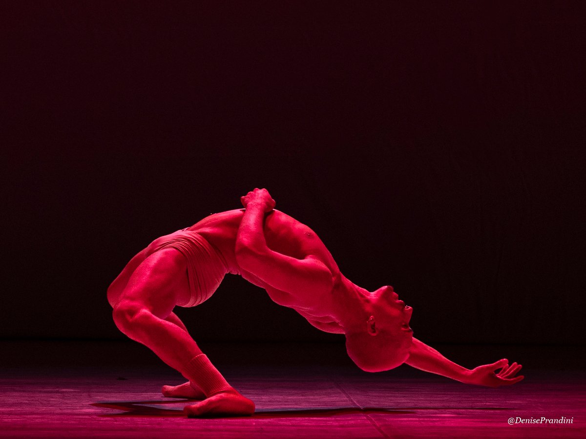 International Dance Gala in 2026