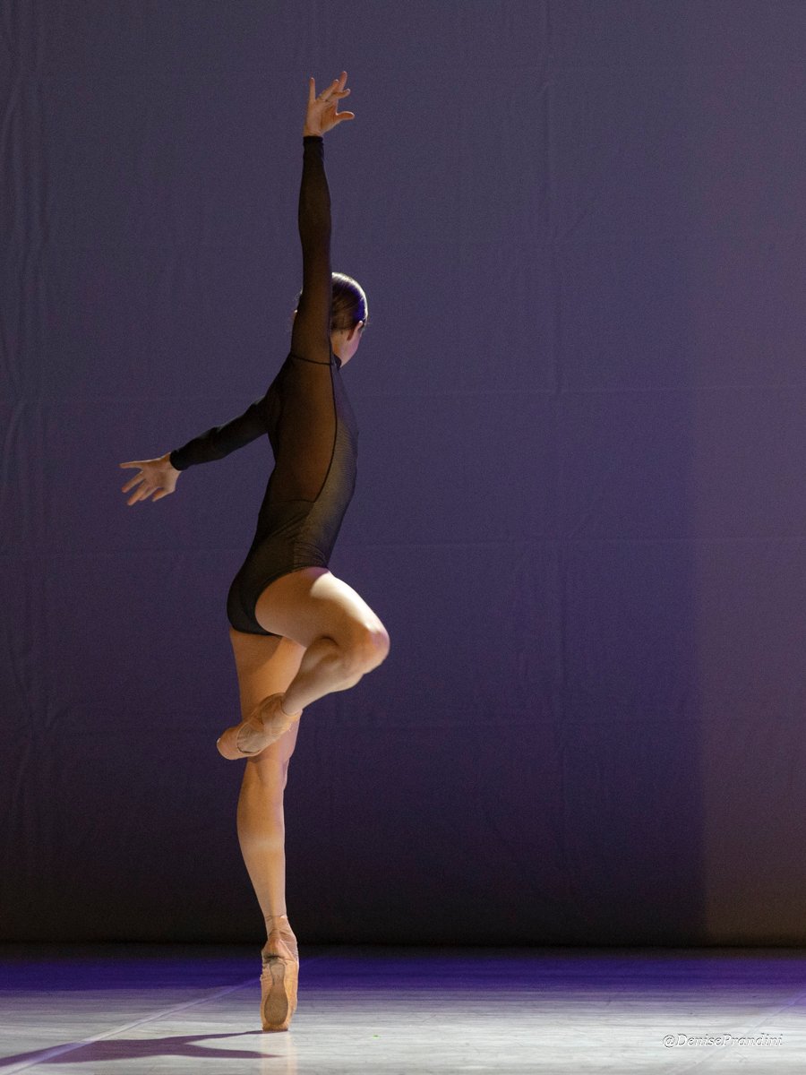 International Dance Gala in 2026